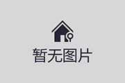 荷兰球员廷伯因伤无缘世界杯，海特勒伊达入替
